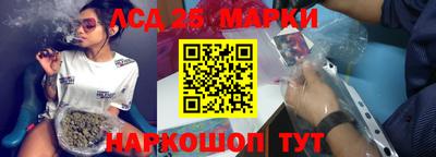 индика Бийск