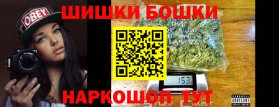 индика Бийск