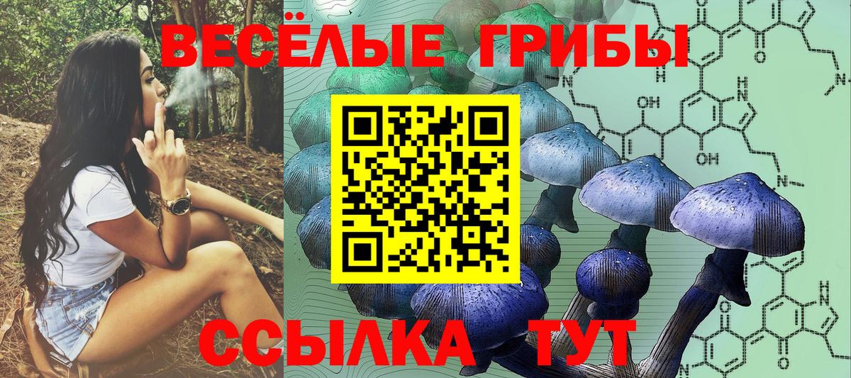 Кашира  Псилоцибиновые грибы прущие грибы  Вход с VPN 